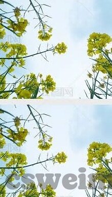 91麻豆精品国产自产在线91-领略华夏精粹——91麻豆精品国产自产的影像世界探索