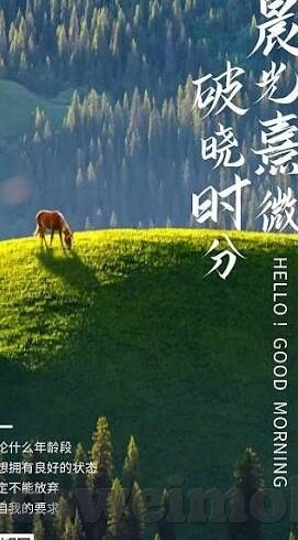 日韩麻豆91制片一级毛片-艺术品与现实的模糊界限，从日韩麻豆91制片一级毛片谈起